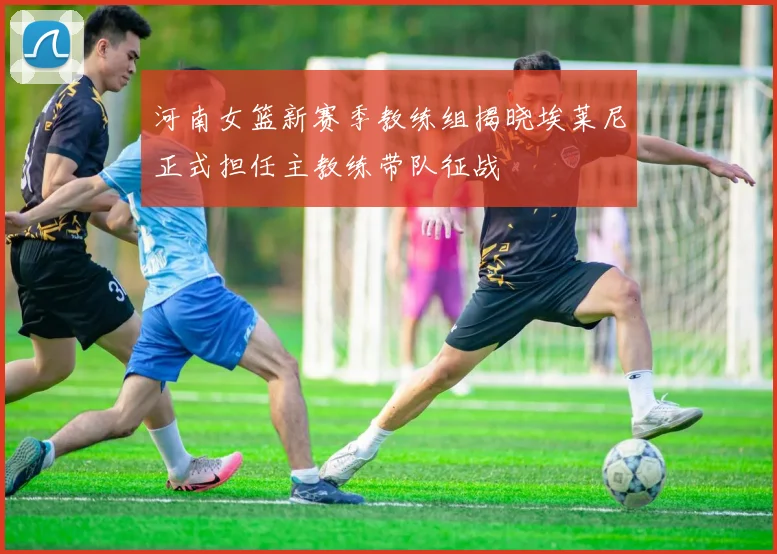 河南女篮新赛季教练组揭晓埃莱尼正式担任主教练带队征战