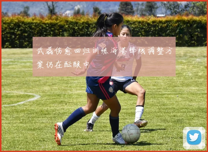 武磊伤愈回归训练海港锋线调整方案仍在酝酿中
